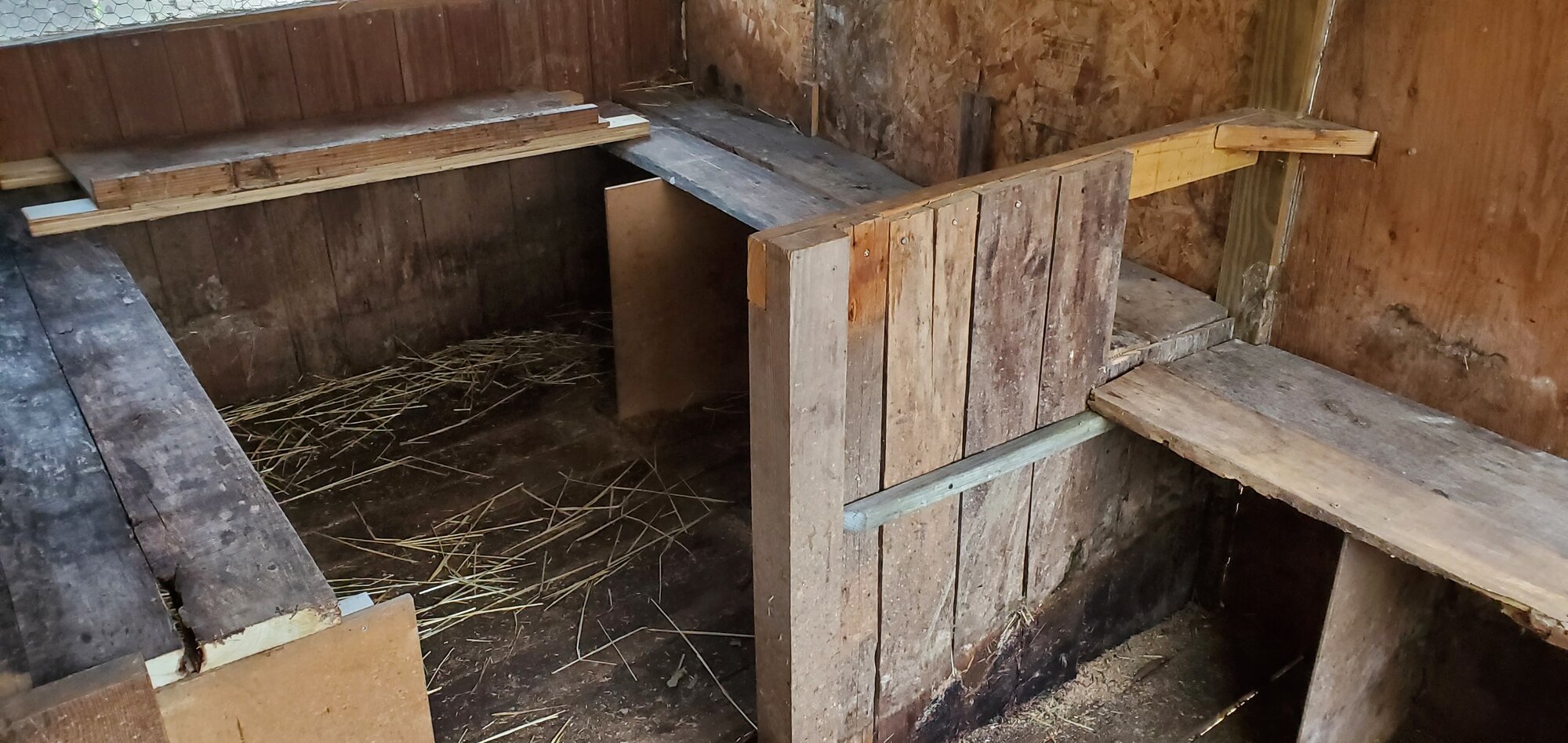 New duck-house interior, spring 2023