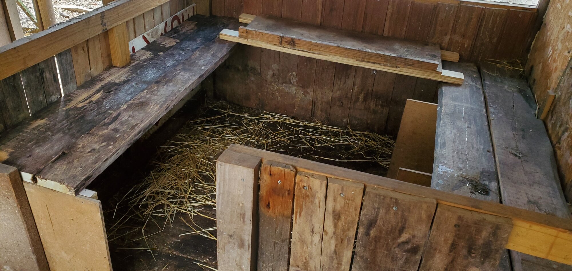 New duck-house interior, spring 2023