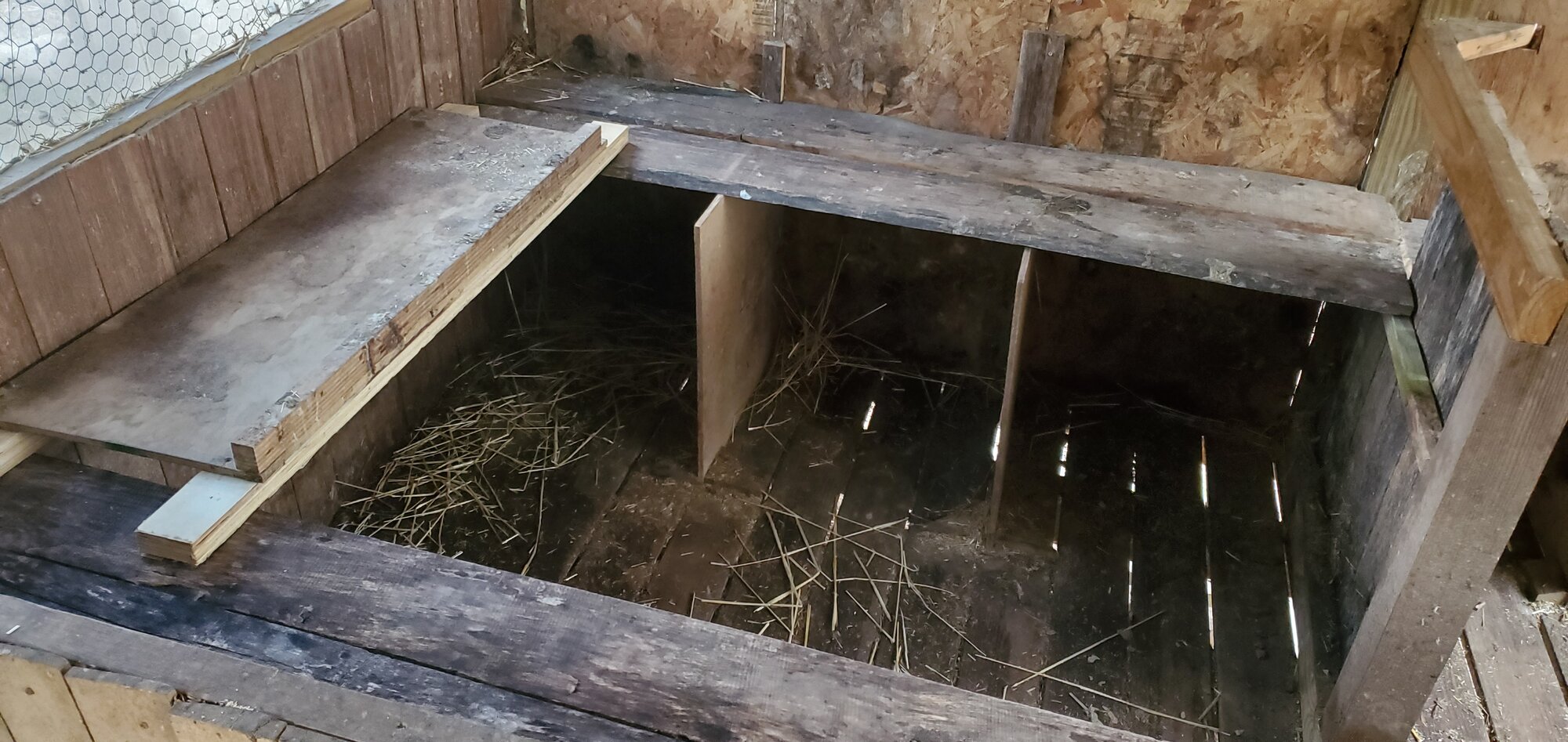 New duck-house interior, spring 2023