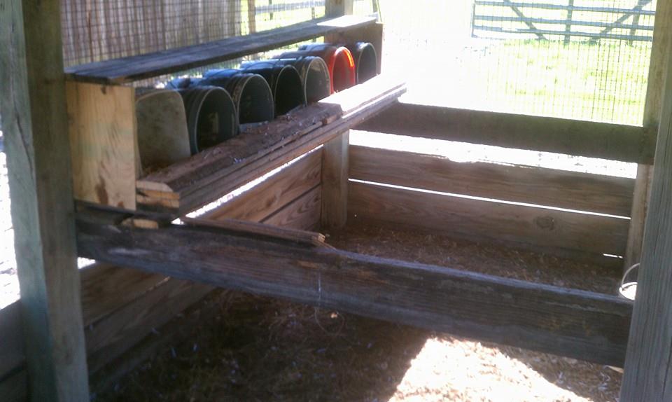 New laying bins. I used all reclaimed wood and buckets. Didn't spend a dime (well, except for nails:)
