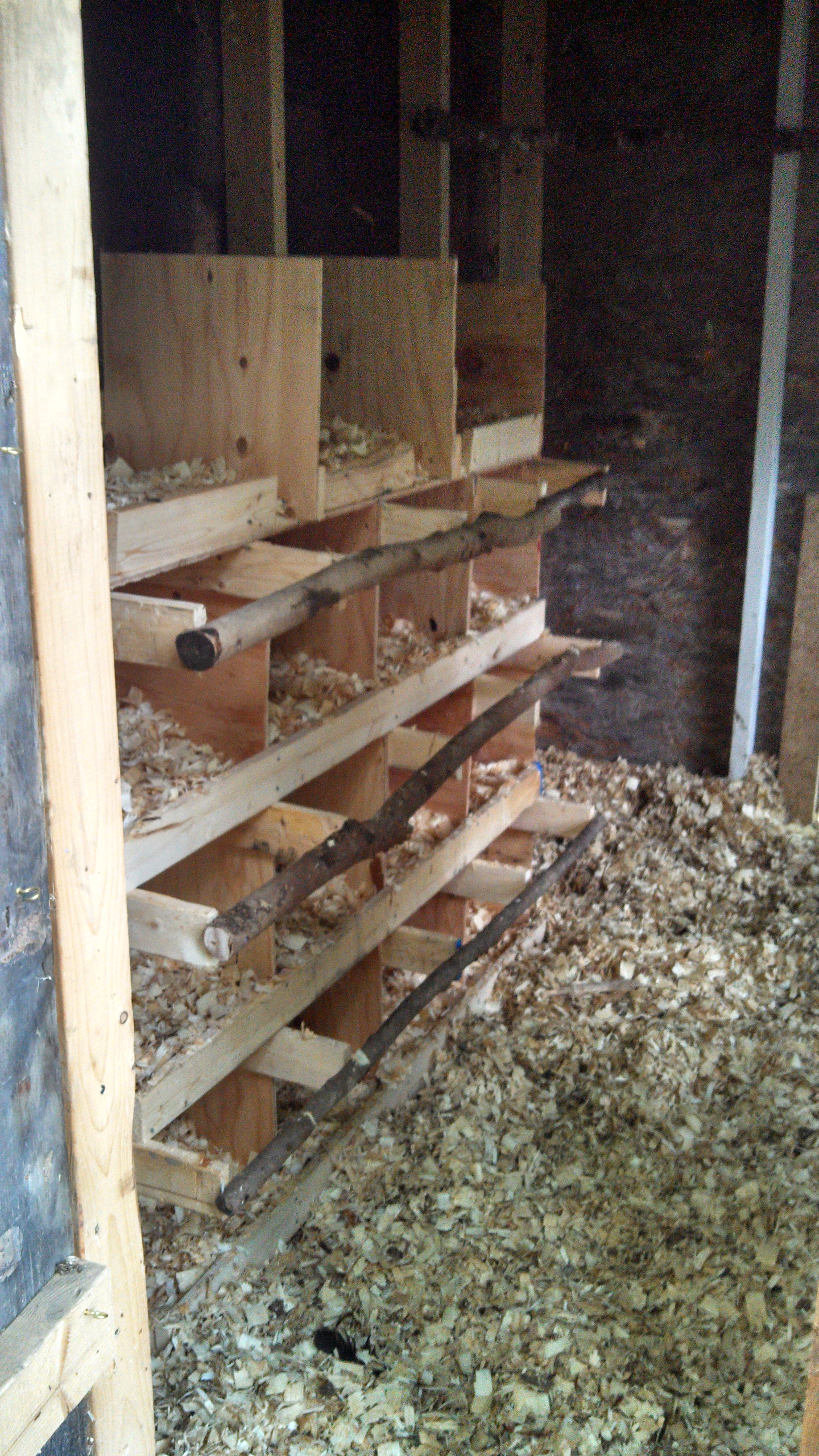 New nest boxes in my coop