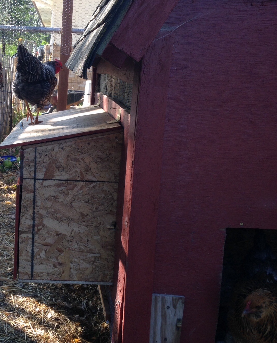 New nest boxes.