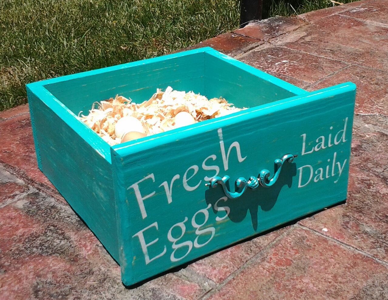 New nesting box!
