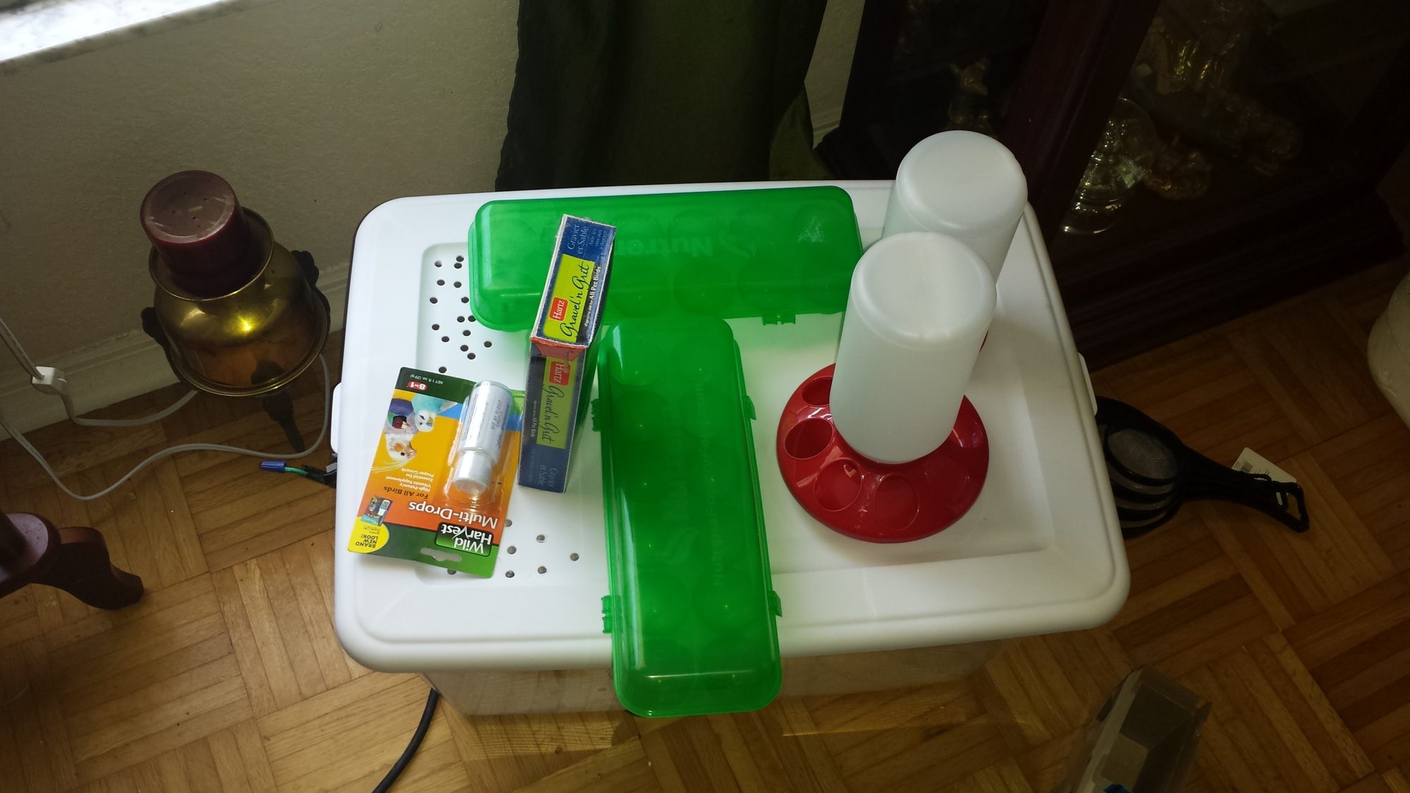 New picks from the feed store