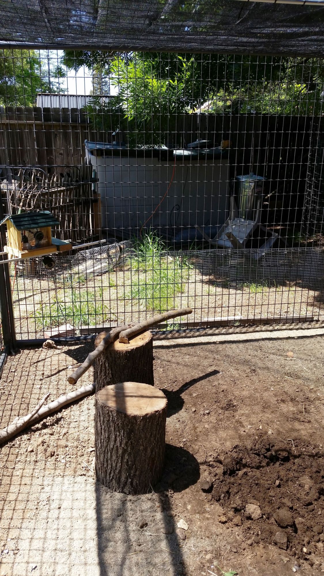 New stumps with added limbs for daytime roosting, they LOVE it. Also it is right in front of the Dropcam so I get a great view anytime I want.