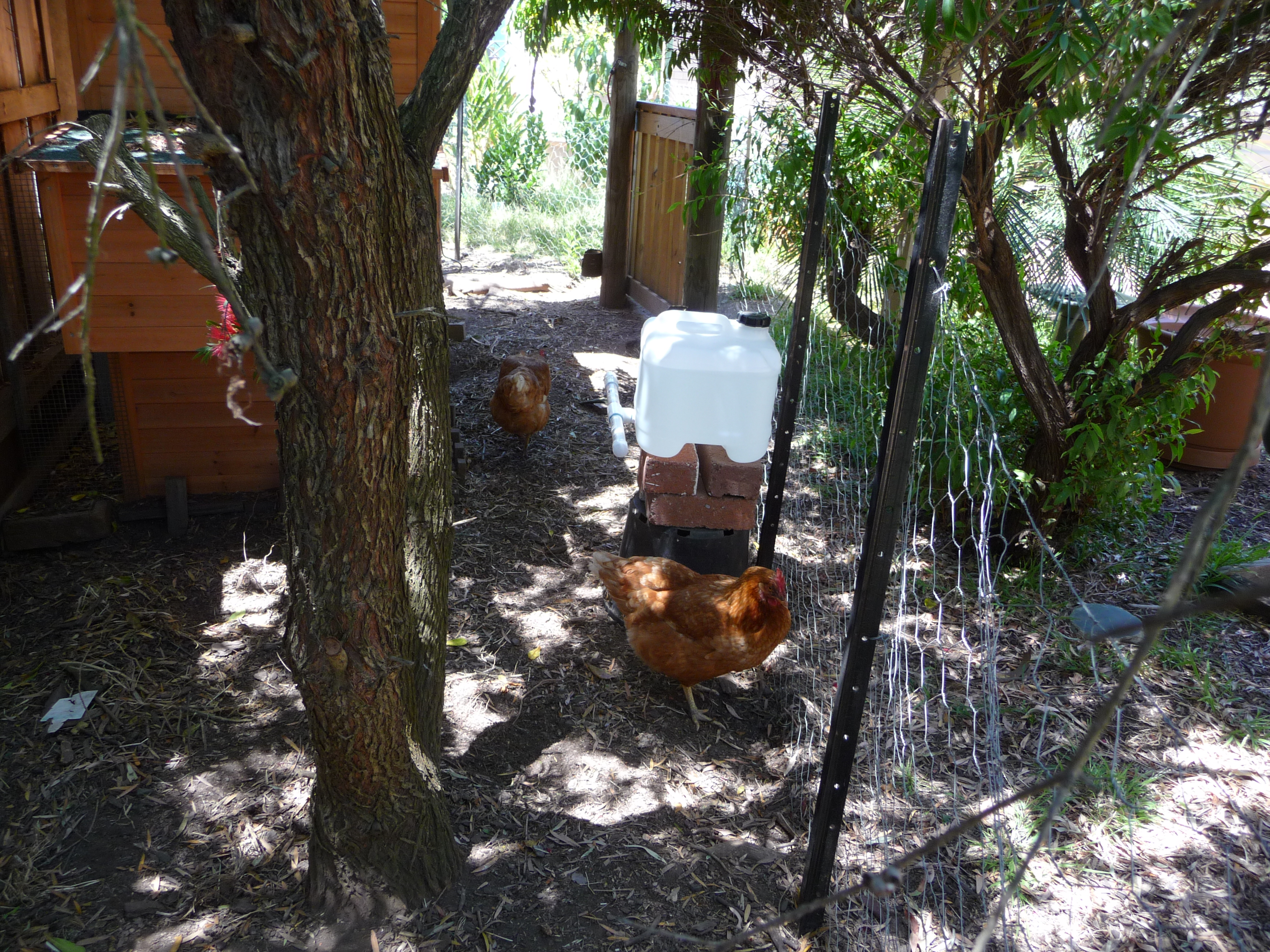 New water system