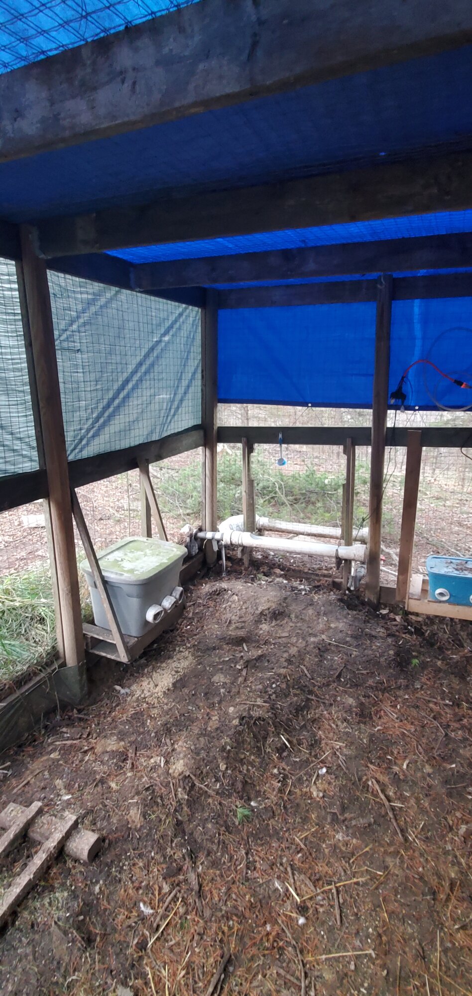 New winter roof for the duck-run
