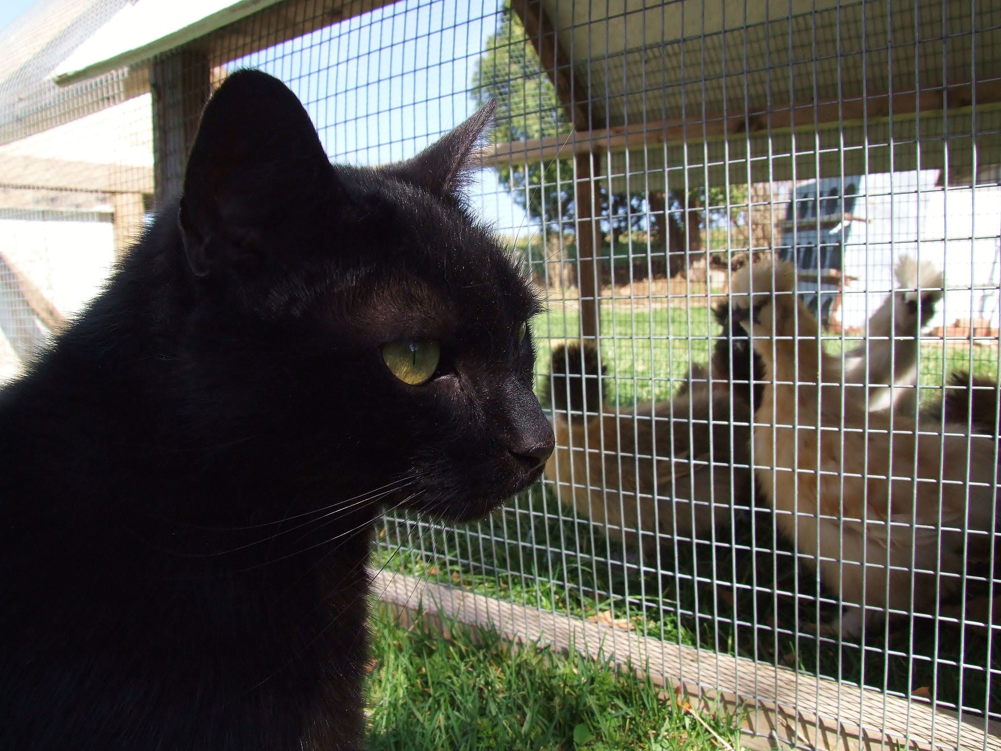 Newbies checking out Tom