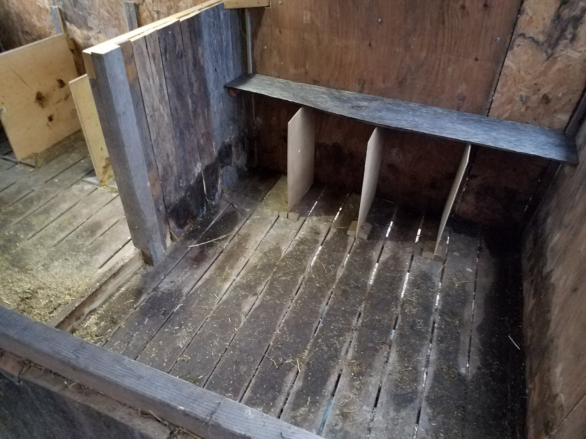 Newly erected nest boxes in the second bedroom