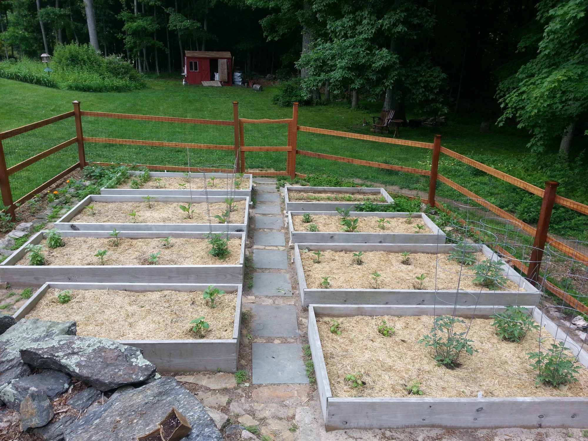 newly planted 2015 view #2