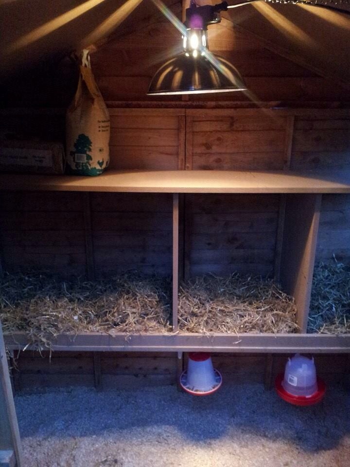 Nice and cozy