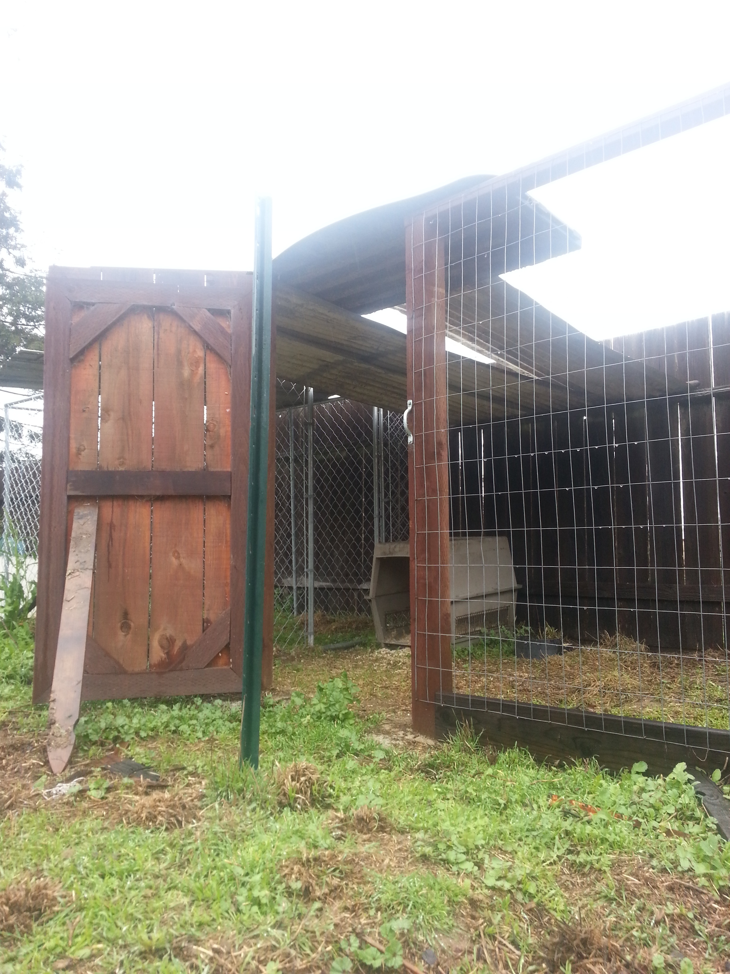 Nice gate, right? He built it. I have to prop it open when the geese are free ranging.