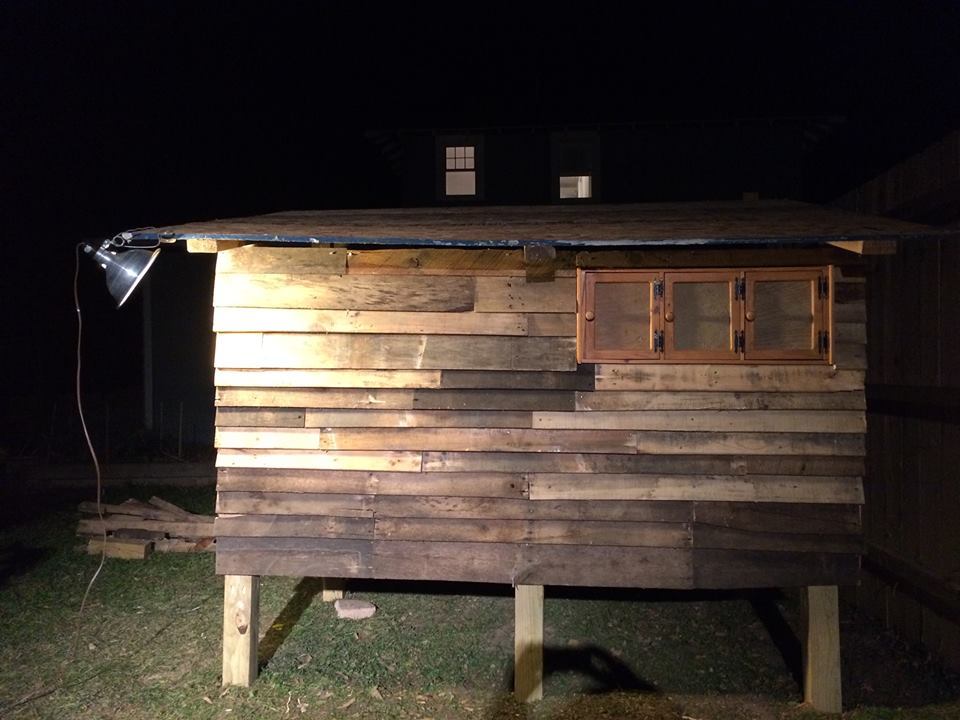 Night photo of finished East side of coop with nesting boxes
Nov 8 2014