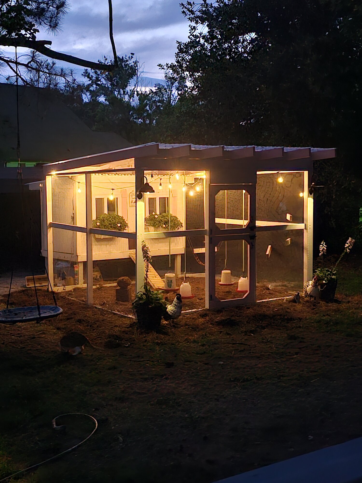 Night Time Ranch Action