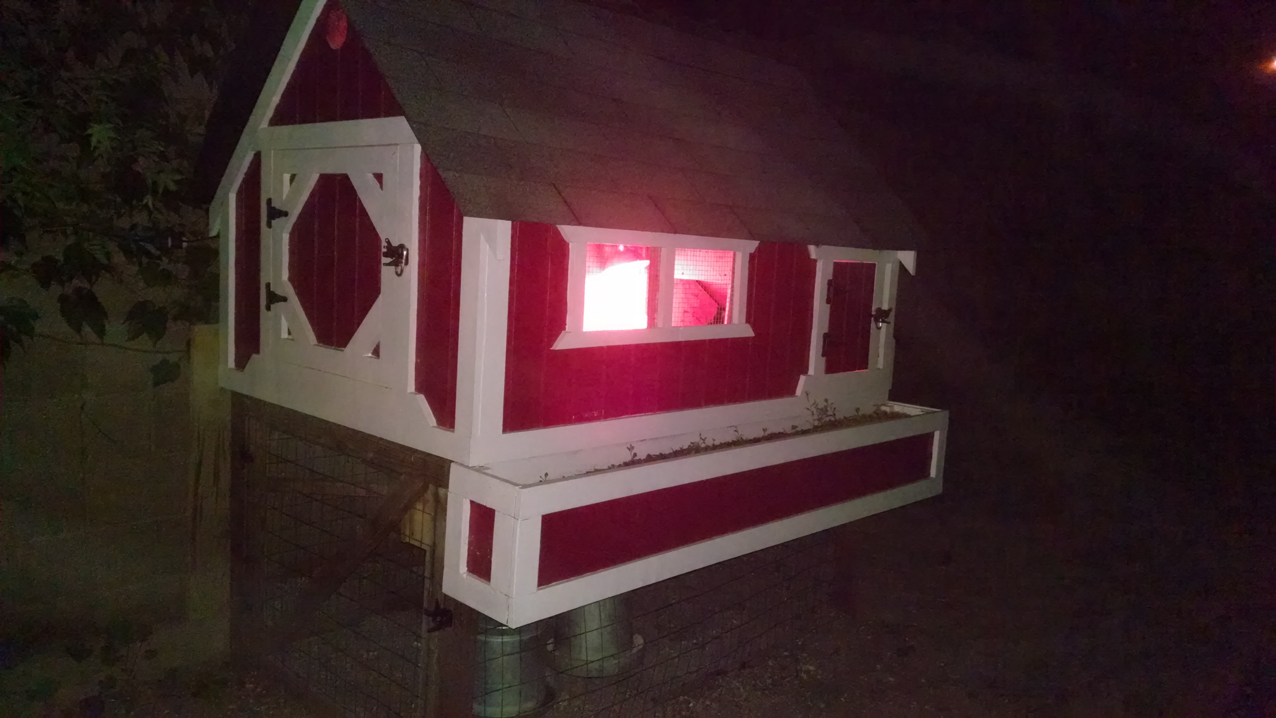 Nighttime in the spring.