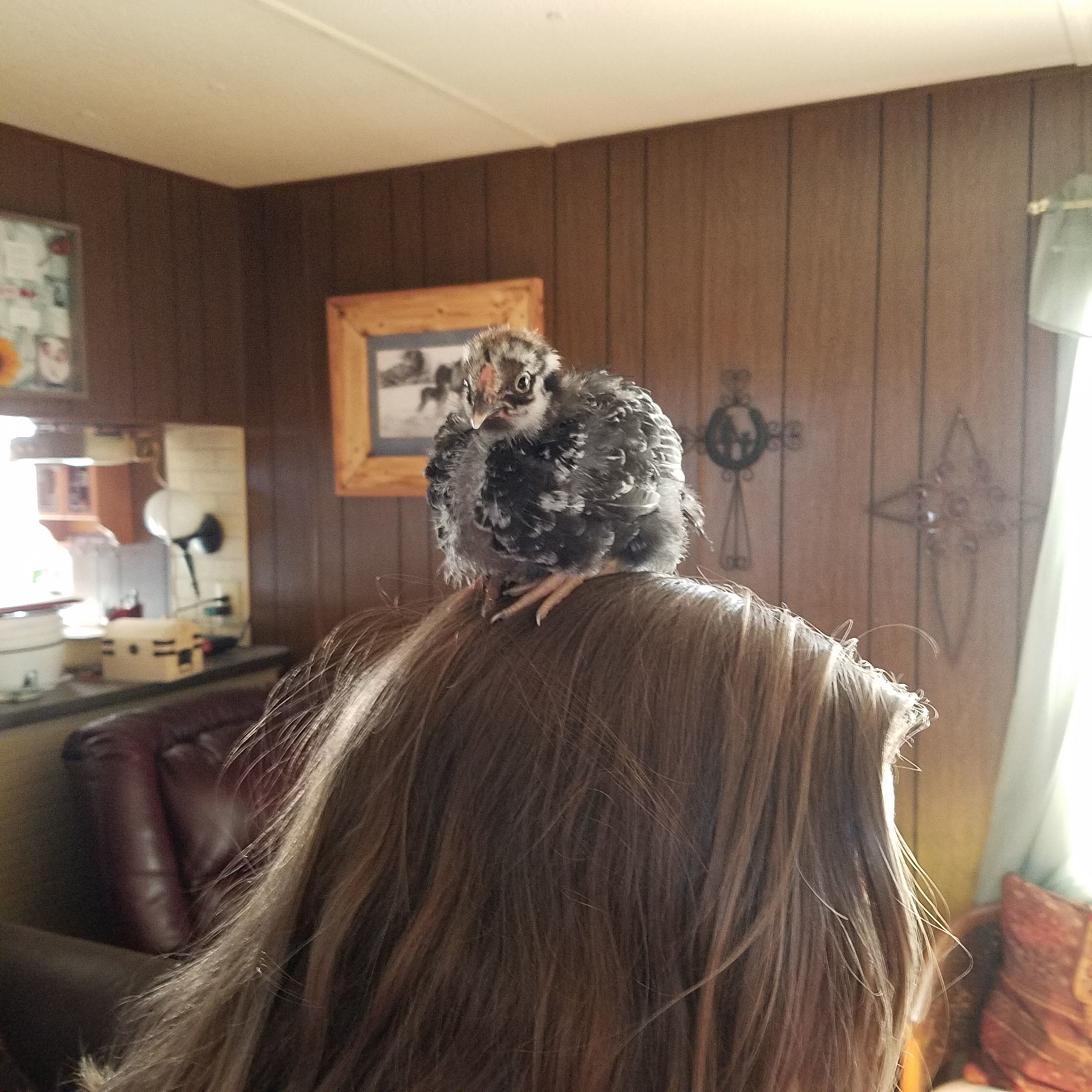 No, I'm in charge