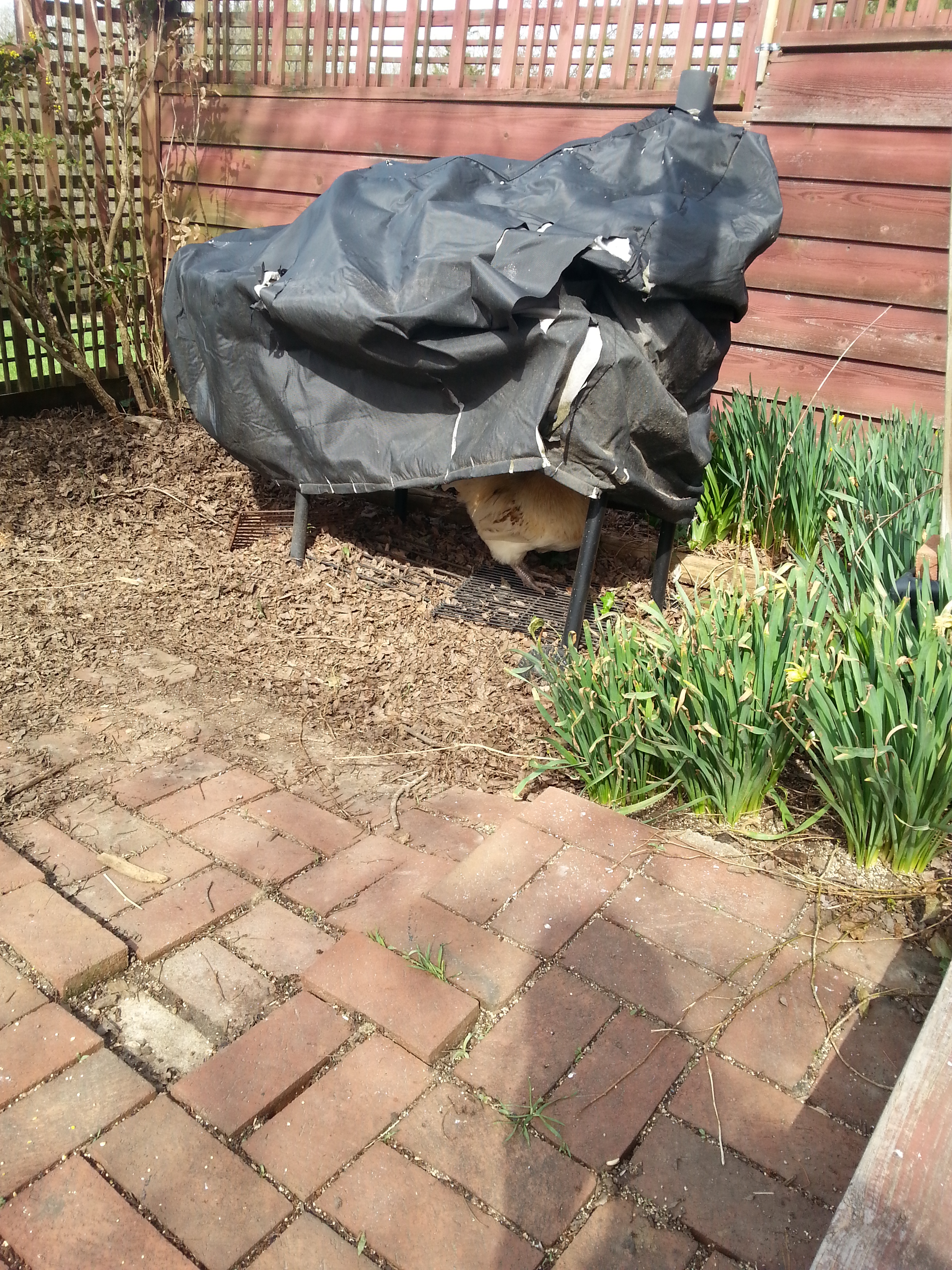 "No one can see me now. I am one with the smoker."