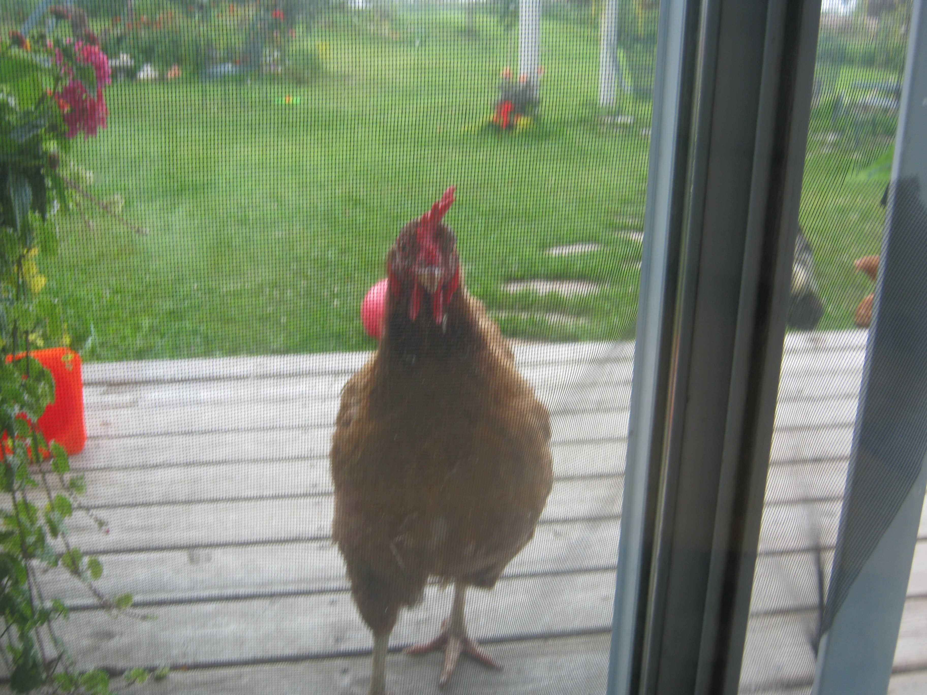 No, Perscilla, there are no more treats in here.