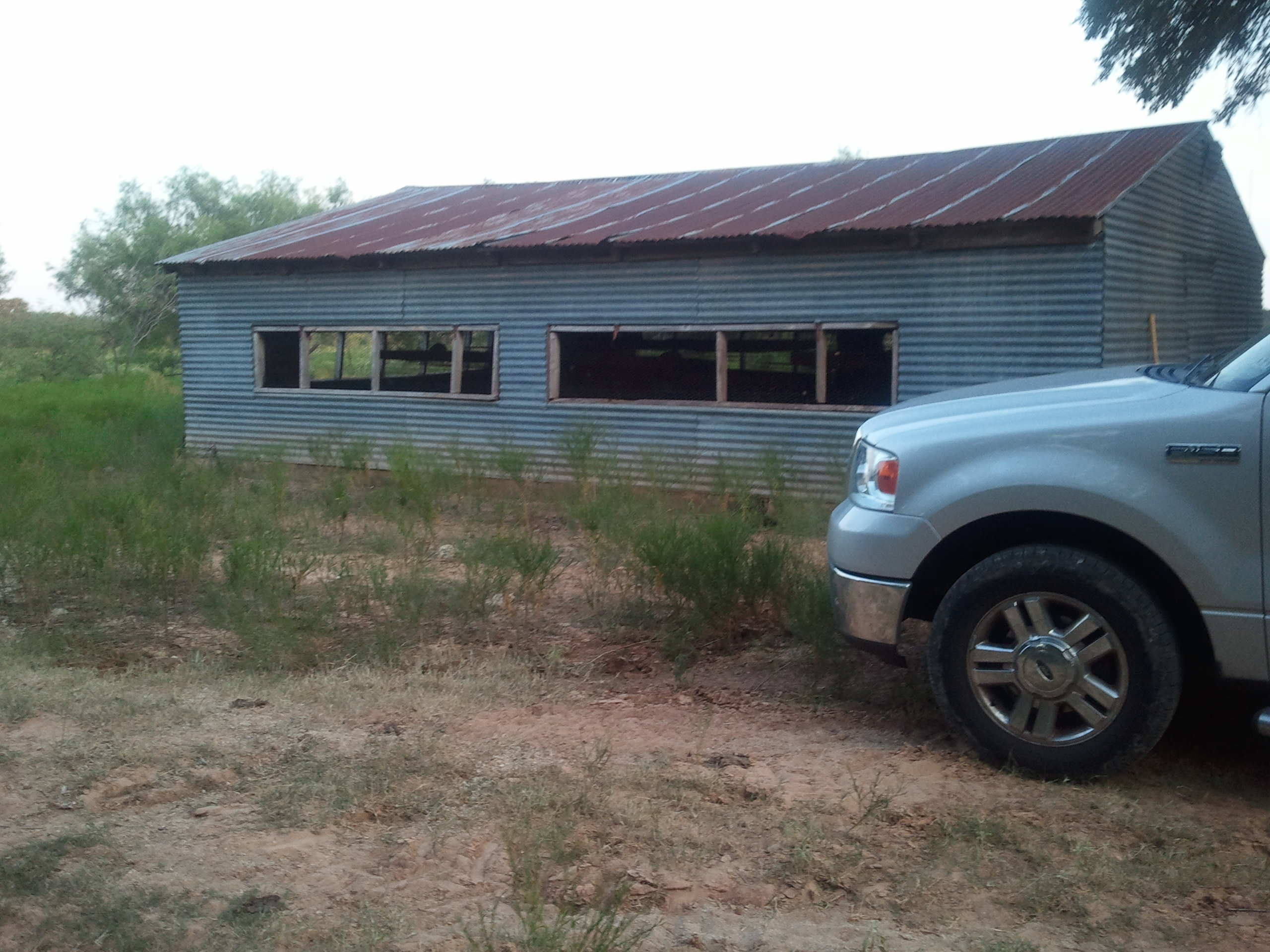 North side of layer barn