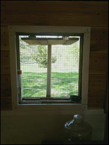 north window from interior