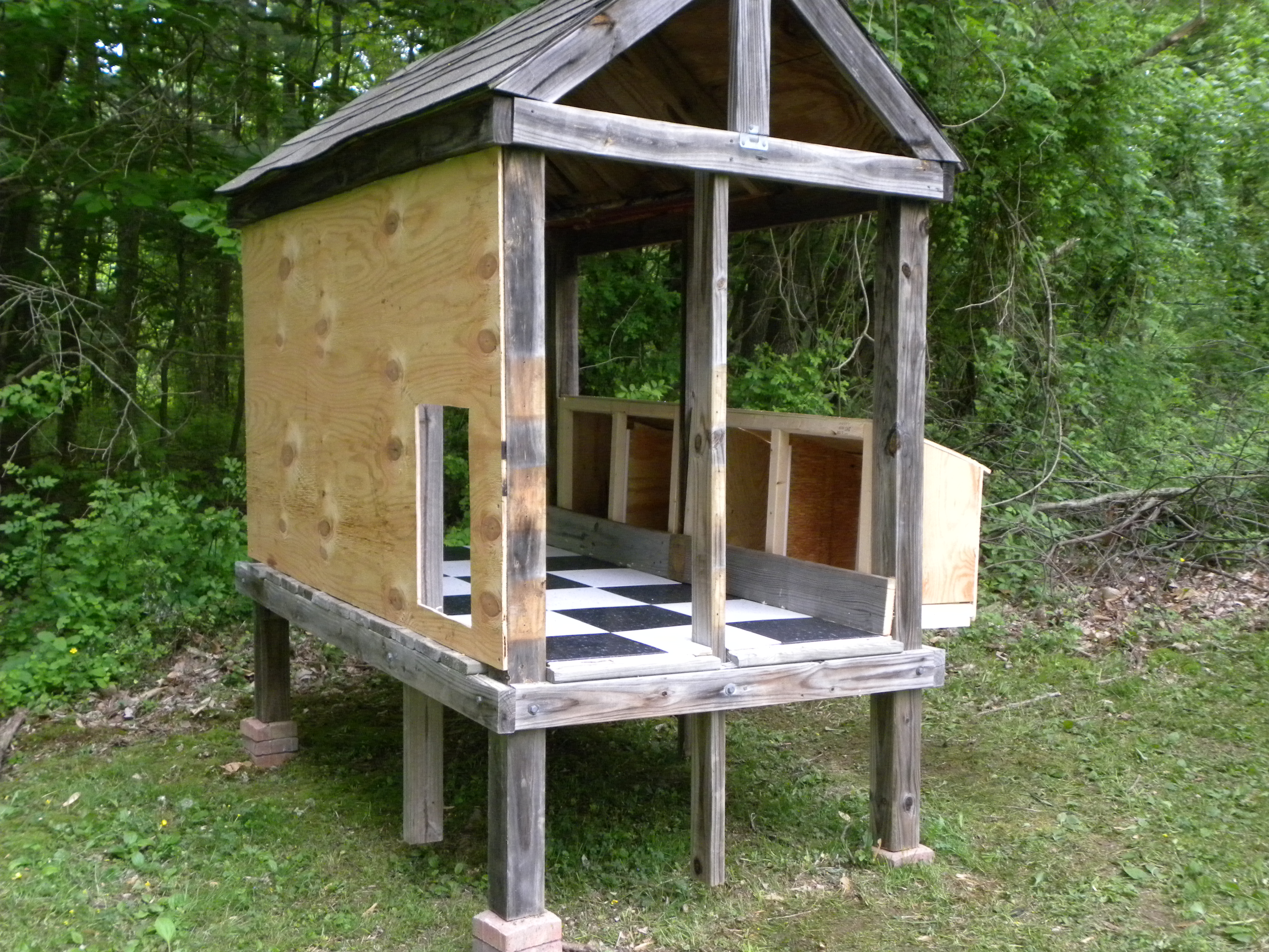 Not bad for my  first attempt at coop building.