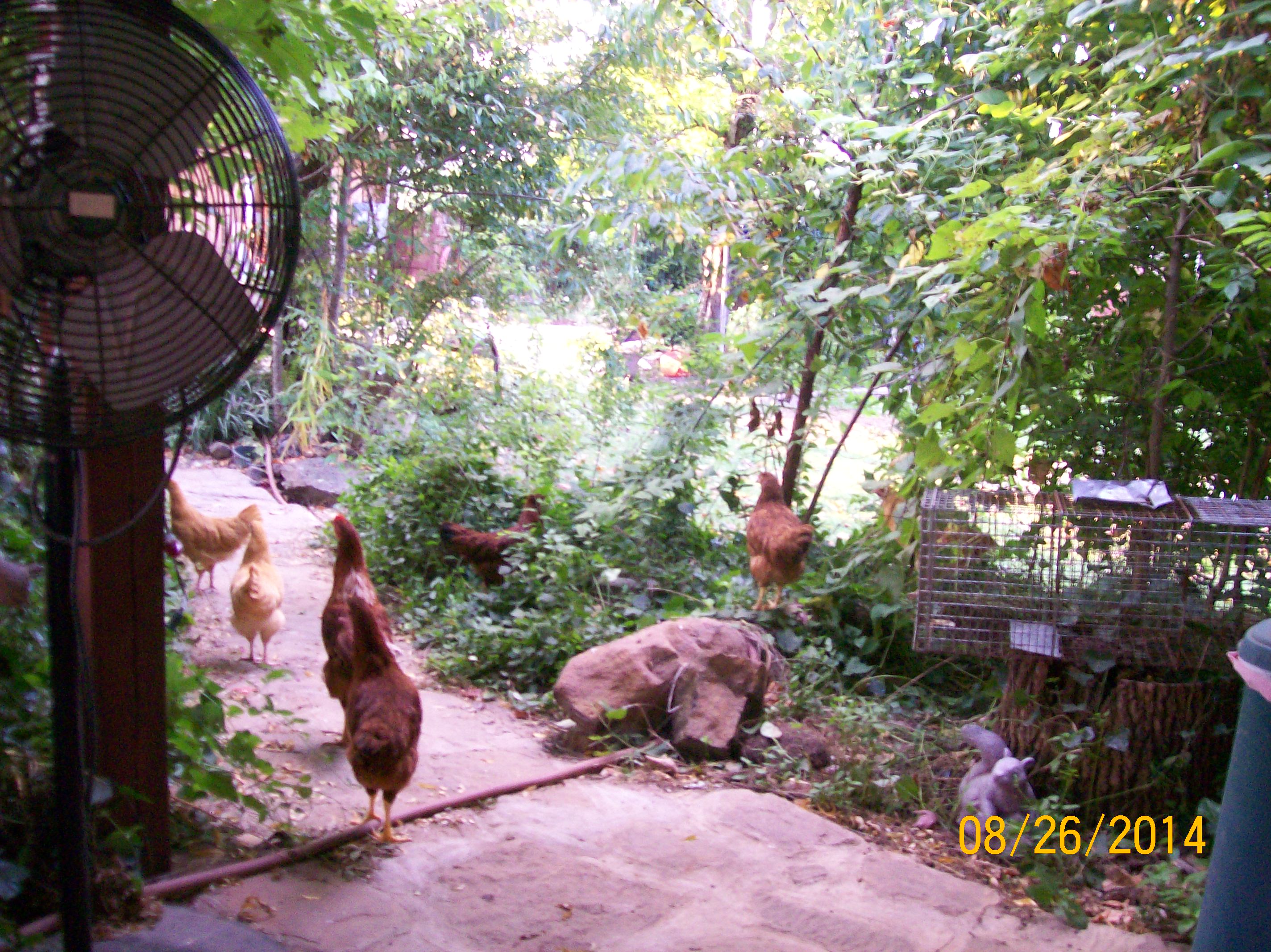 not going till someone make's a move