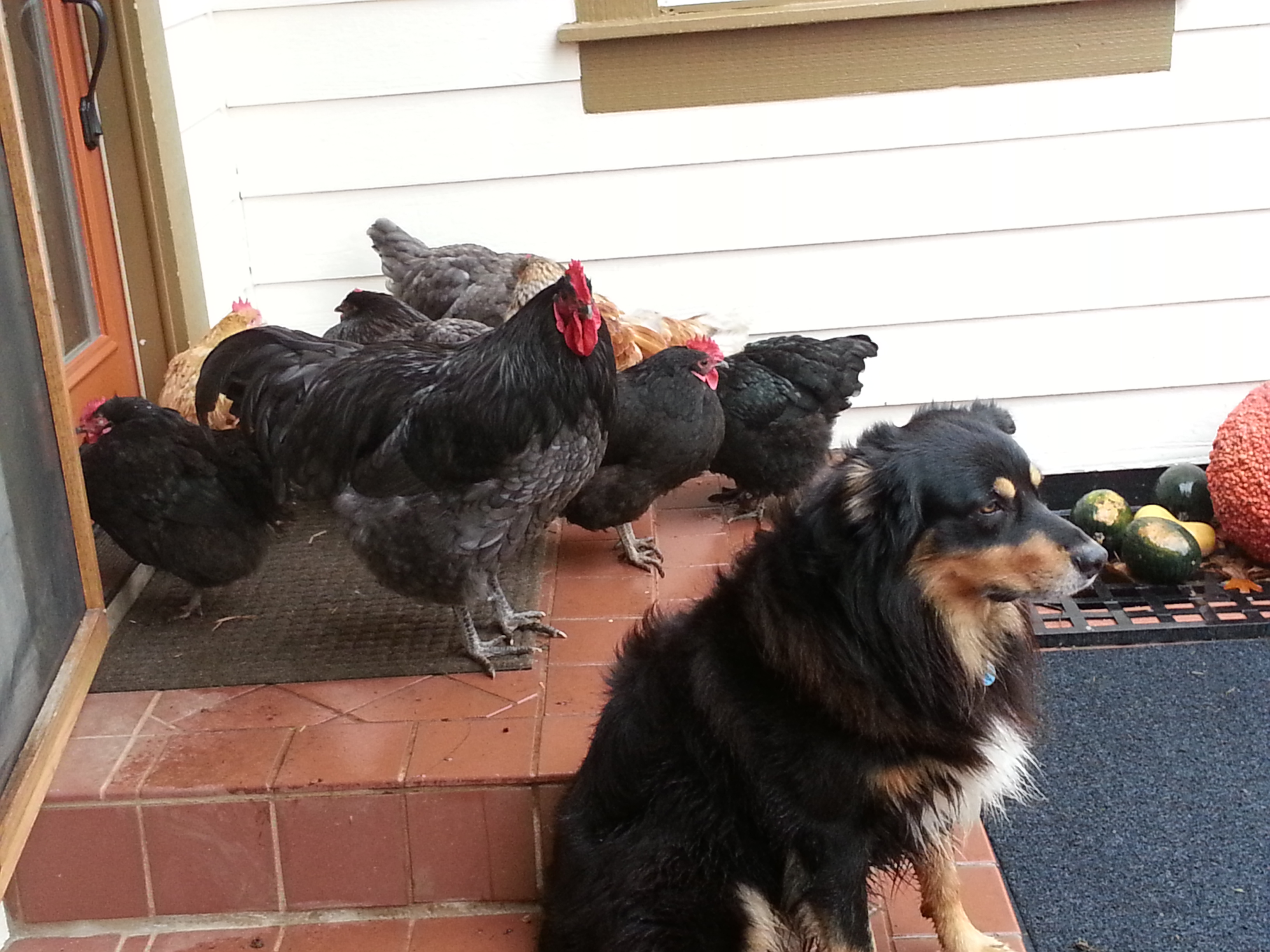 Not where I wanted them, but at least they are in a group ;-)