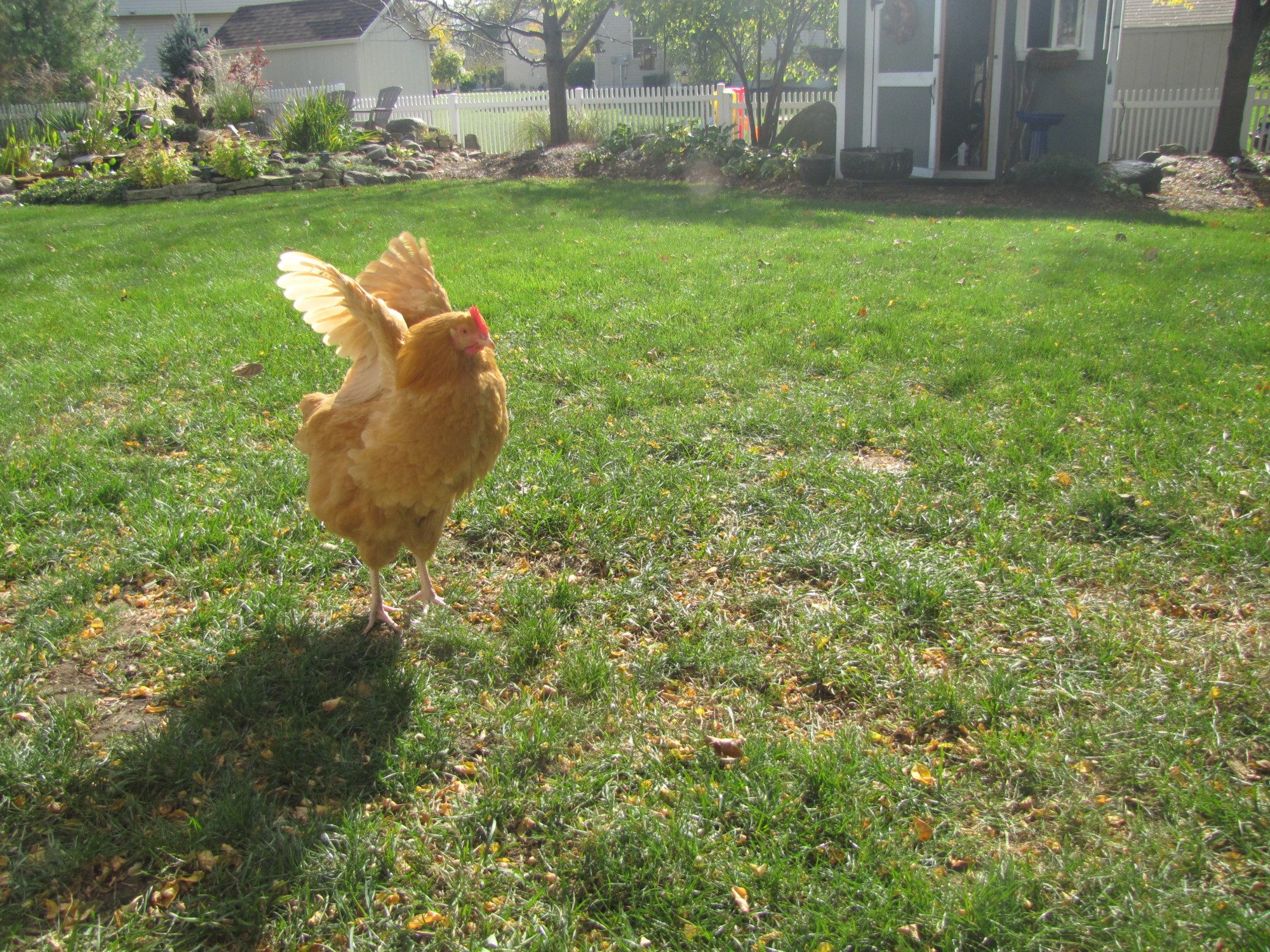 Nothing like a little mid morning stretch