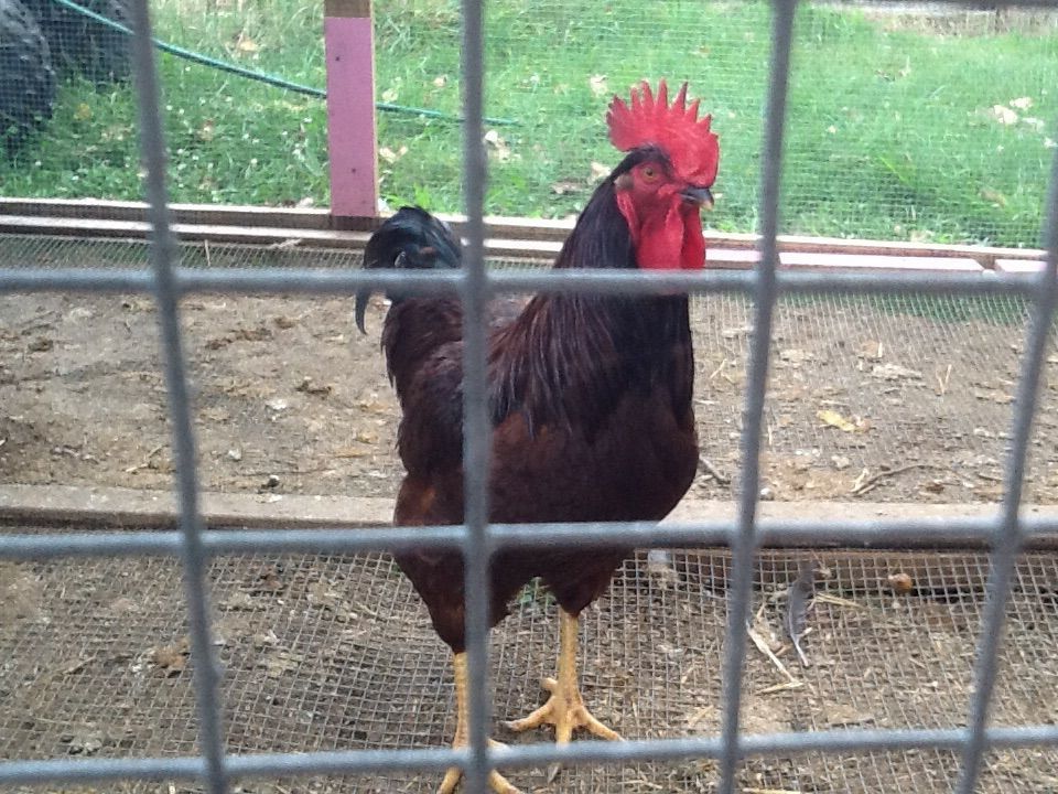 Nothing needs to be "Rocky" is just plain,gorgeous !