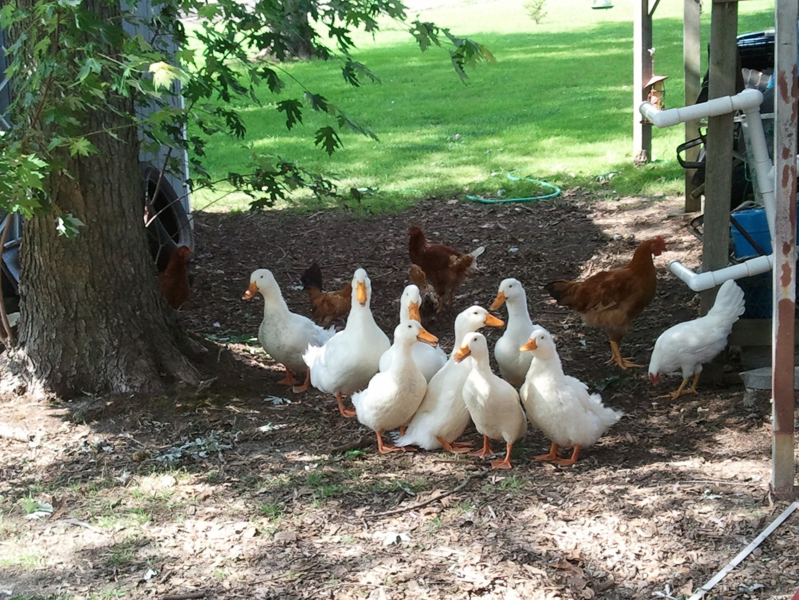 Now there are 8 of us !!
