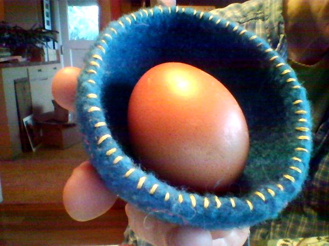 Nuggle's first egg.