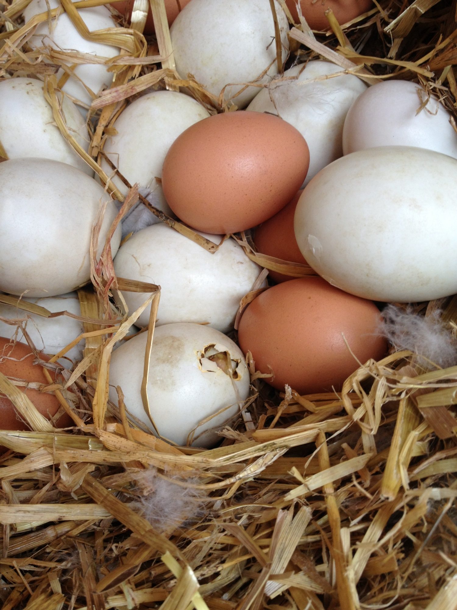 number two coming through