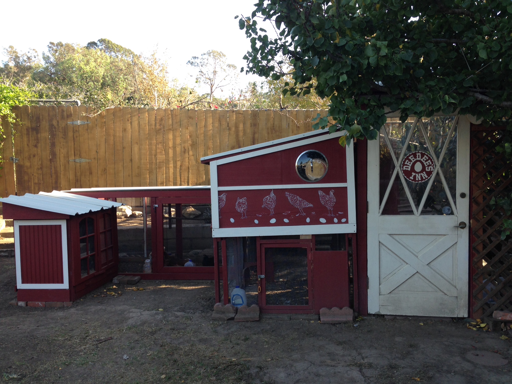 Oct 2015. A third run (8x4) and a second coop (2x4) was added to the Inn.