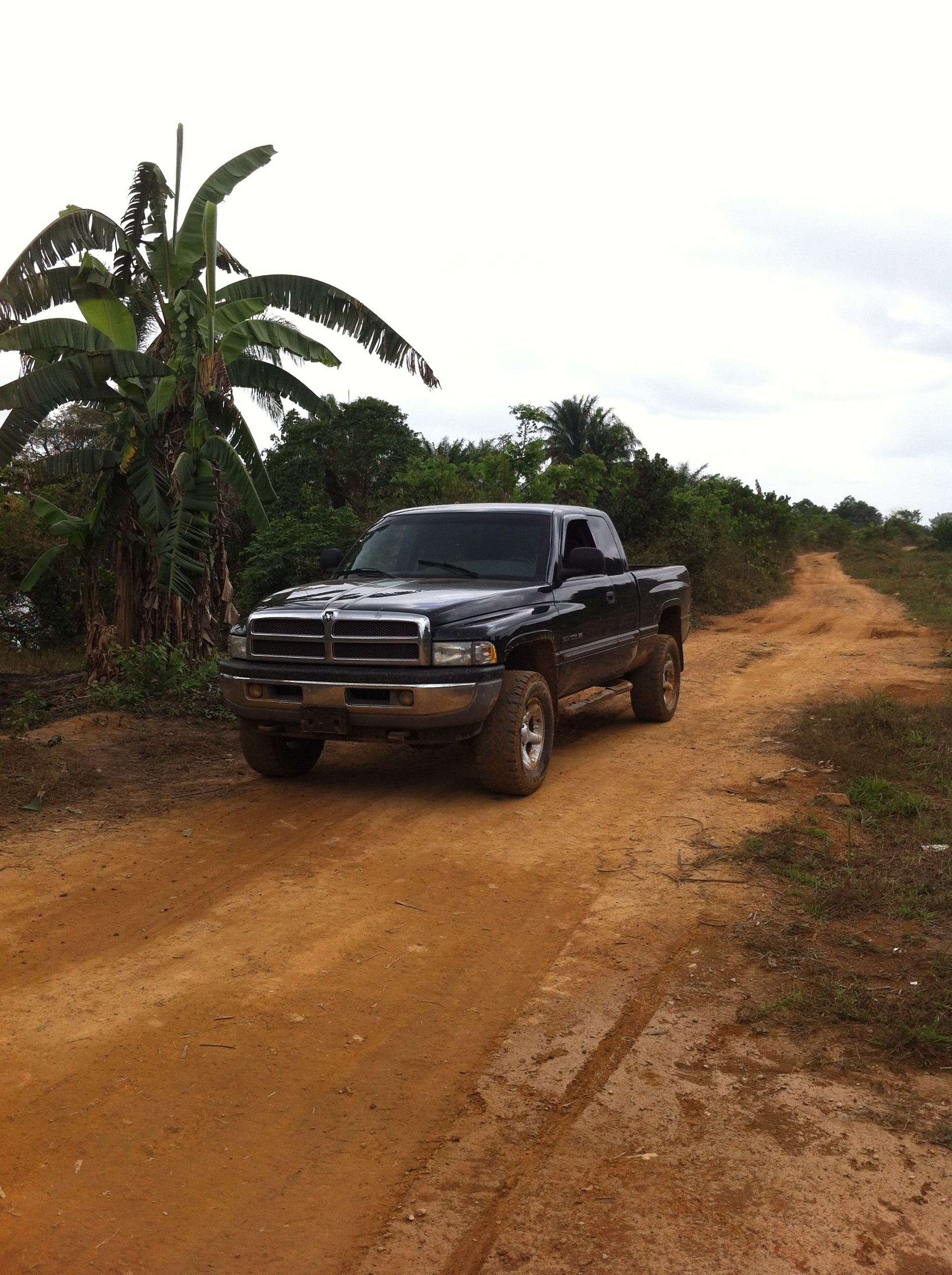 Off the beaten path.
just doing a little off roading in the back forest of Liberia.