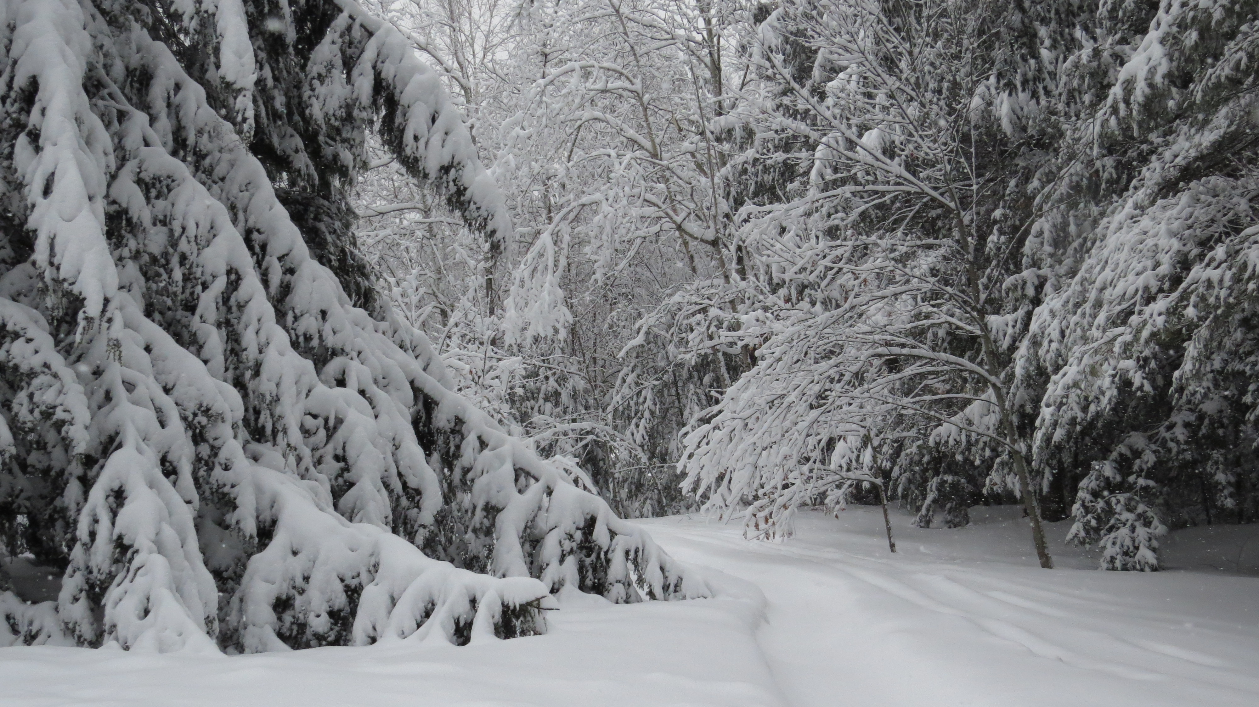 Oh, the springtime here is coming shortly!  FYI 
A few days later is the first of spring and we wake up to 8" more of SNOW =0