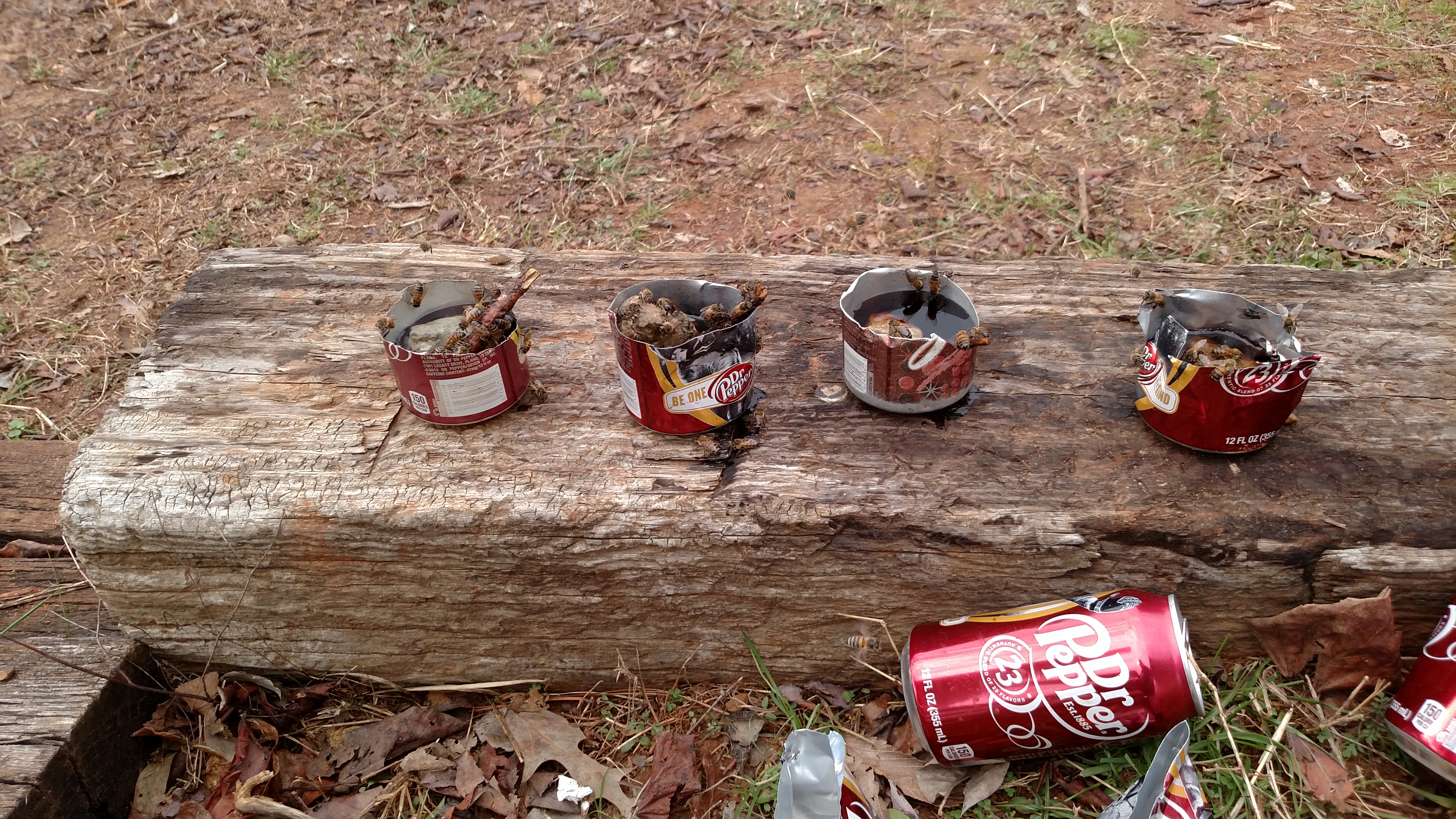 Oh yeah, don't forget to feed the bees.  Normally have cups out by garden and orchard during warm months.  Am going to set up an empty bee hive and try to lure a swarm over this year.  The pic was taken yesterday.  It was cloudy, so many out.
