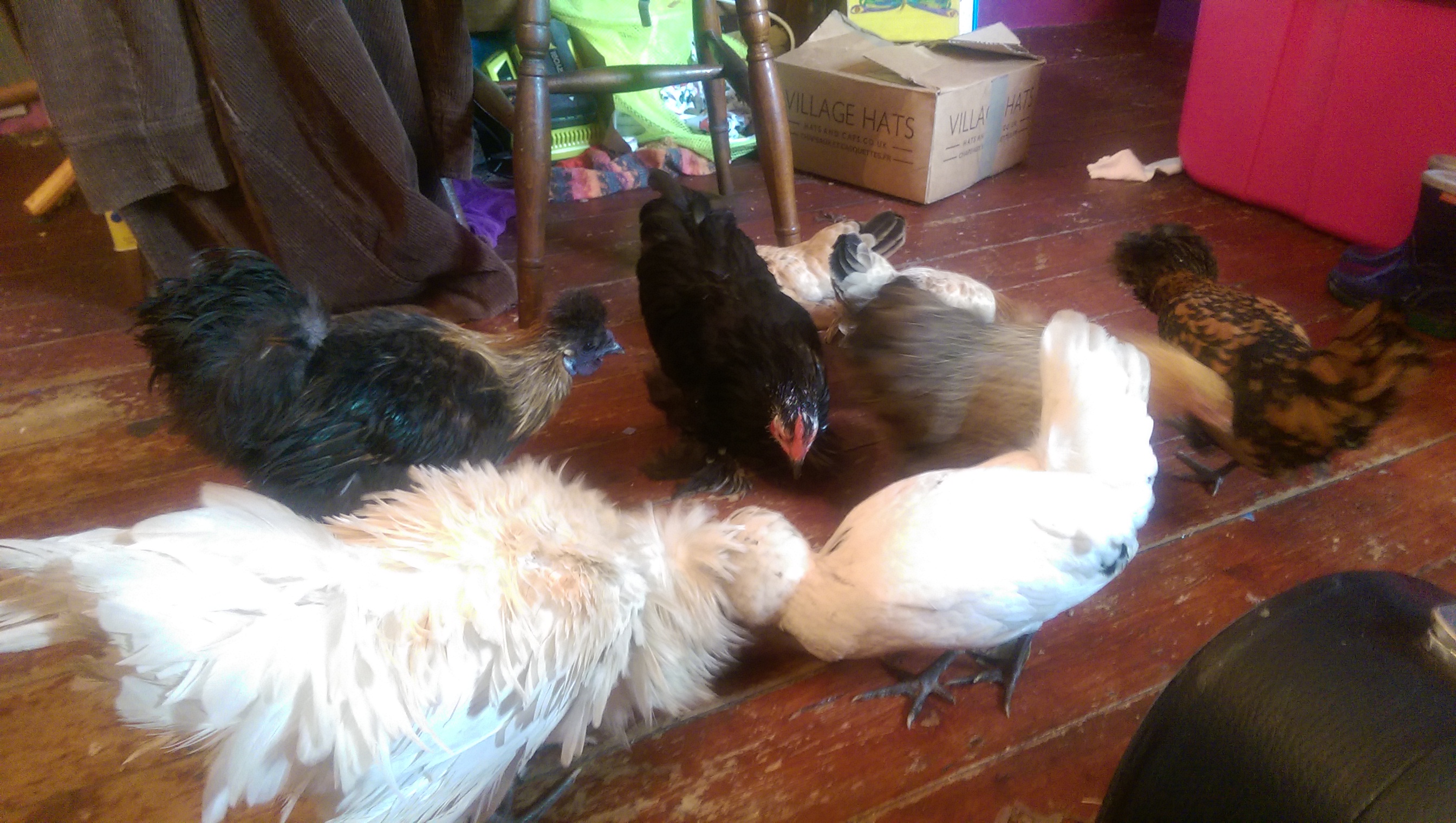 Oi little devils. Out!!! :-)