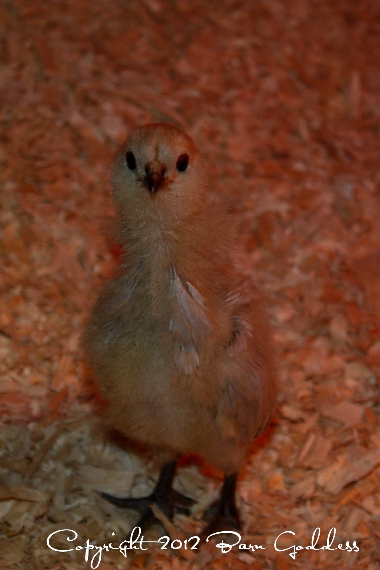 ok, everybody --- EAT!