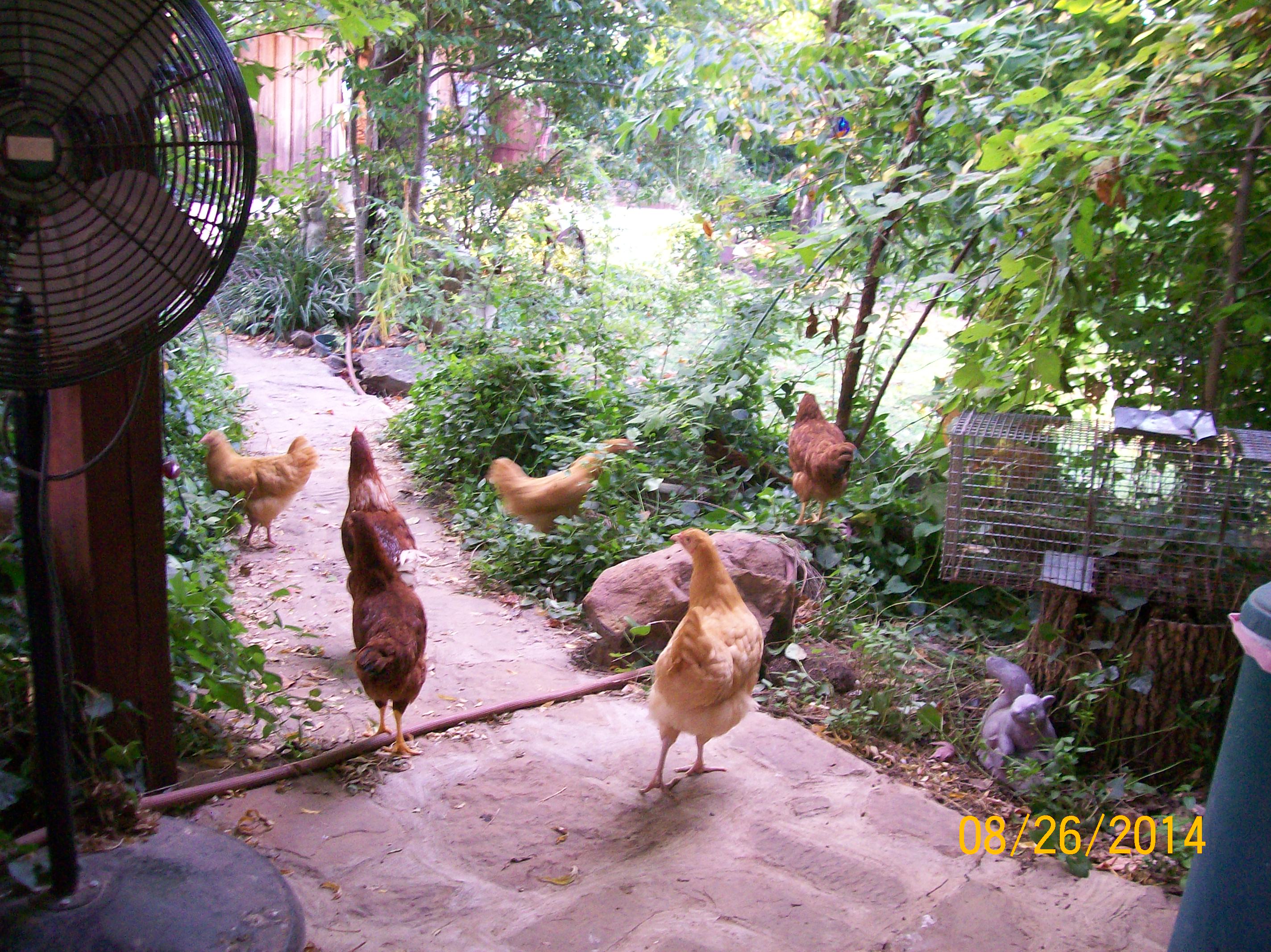 ok,what are they watching,lol