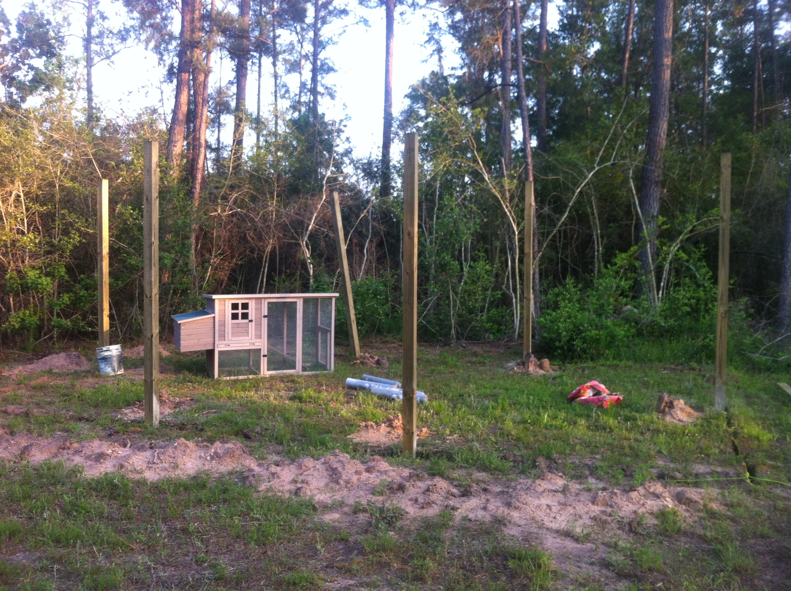Okay so Dion set the posts for my run.