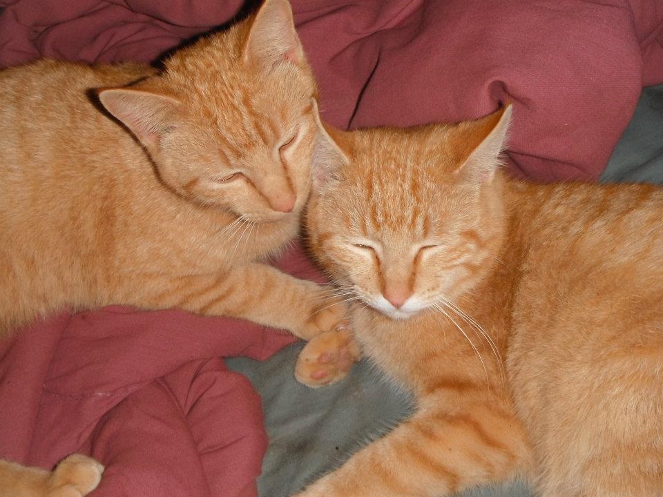Okie and Sooner.