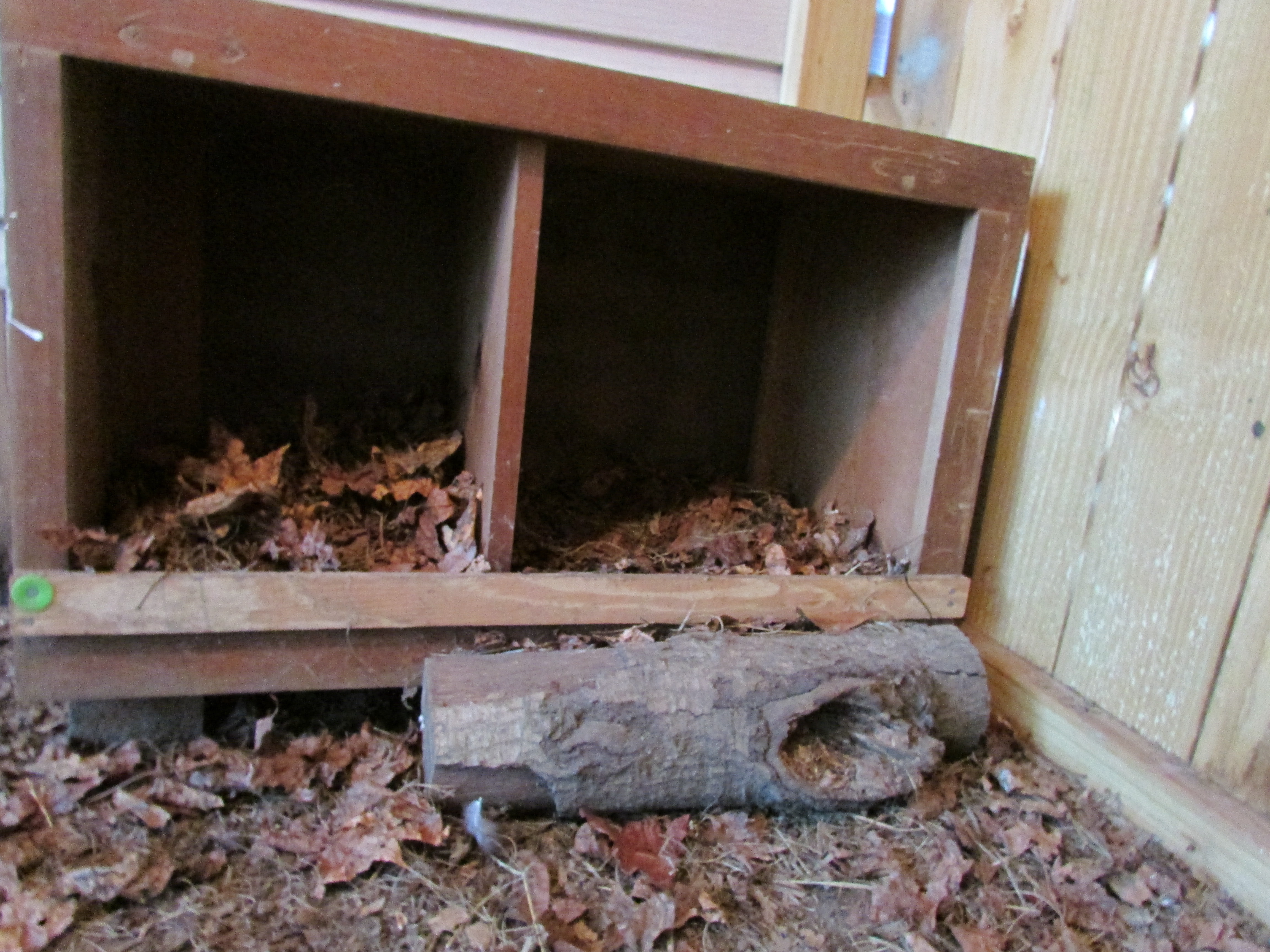 Old cabinet makes a good nest box