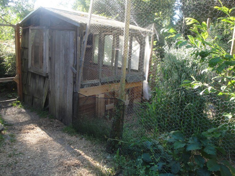 Old chick house.