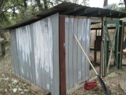Old Chicken Coop 7.5'x9.5'