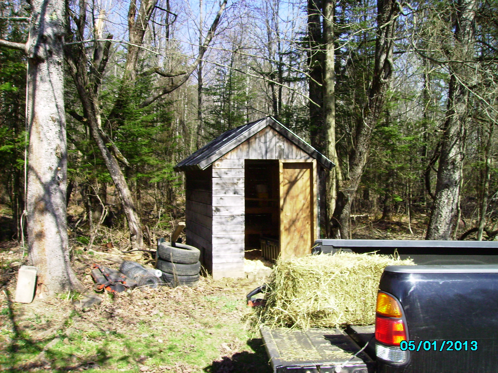 Old coop before cleaning, and adding a 12' X 15' run.