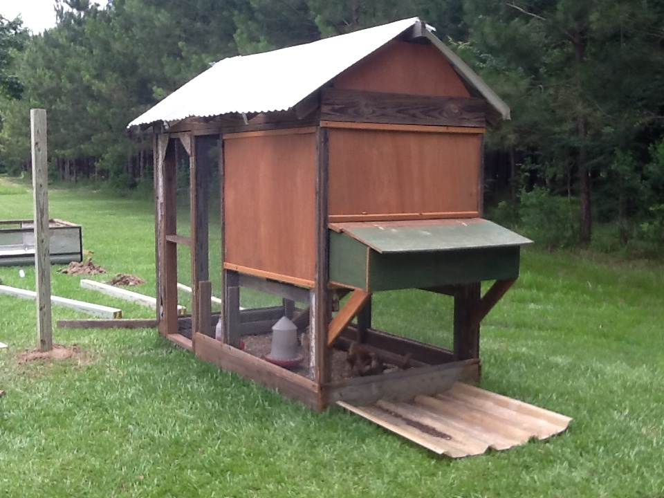 Old dove coop my grandmother wasn't using anymore