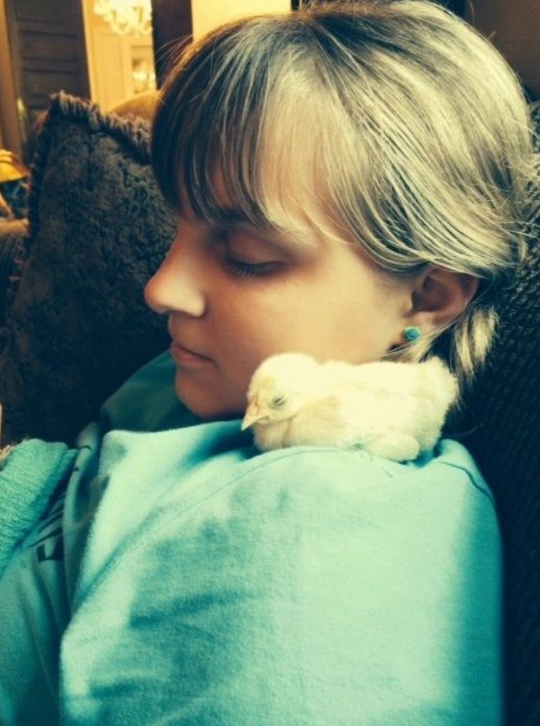 Old English Game chick from TSC spring 2014