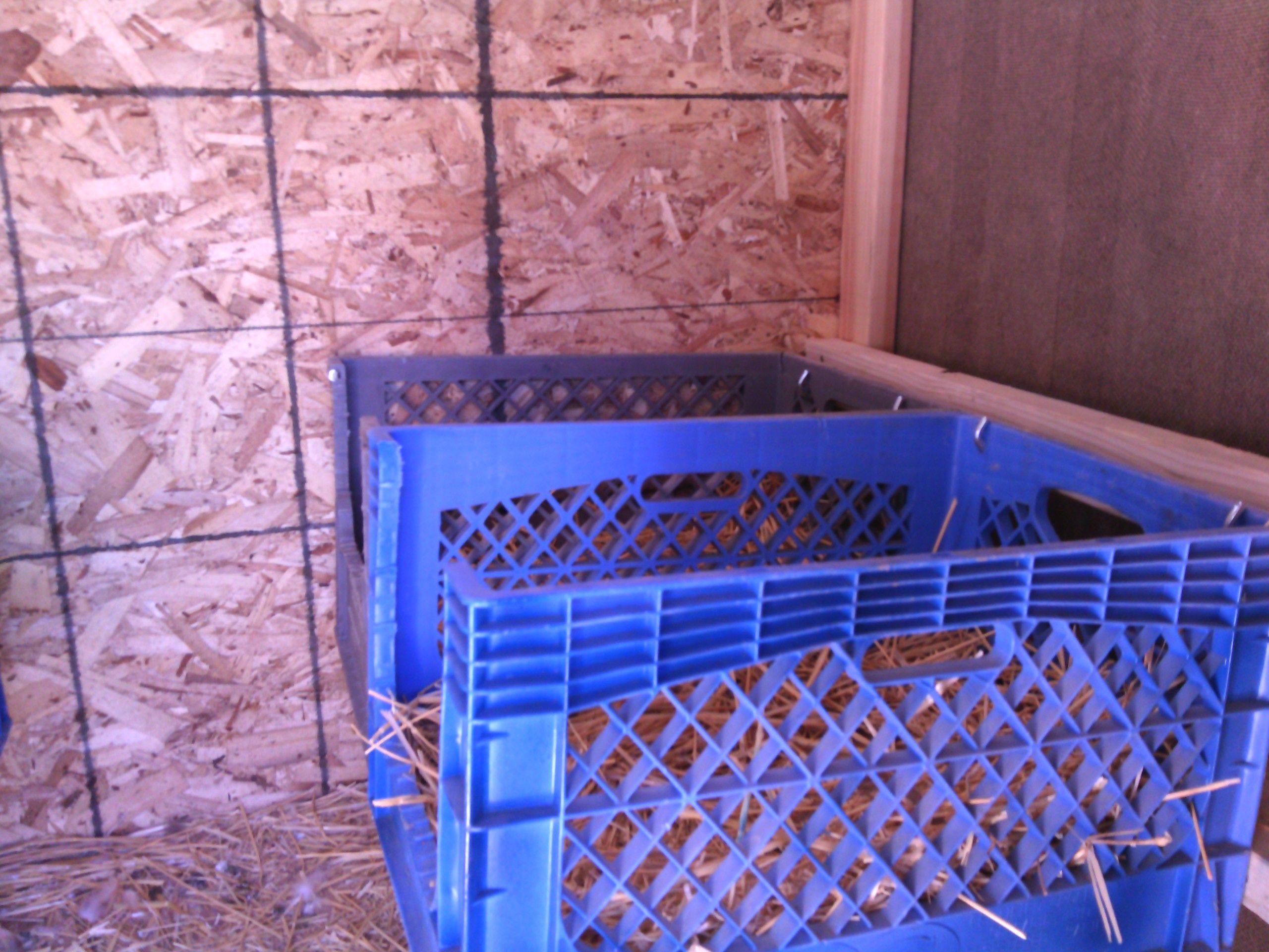 old milk crates make great nesting boxes