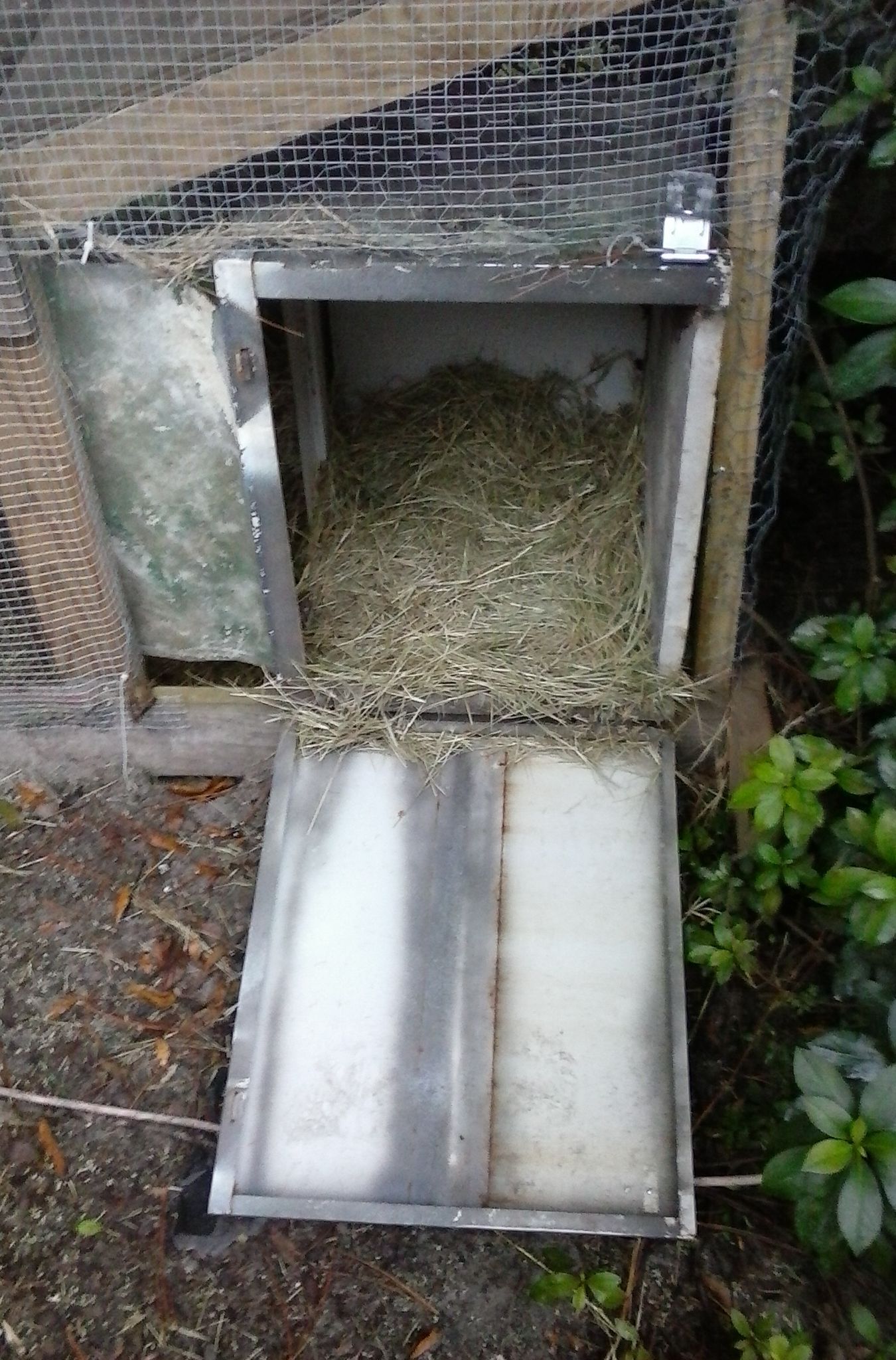 Old printer base functions well as an egg box.