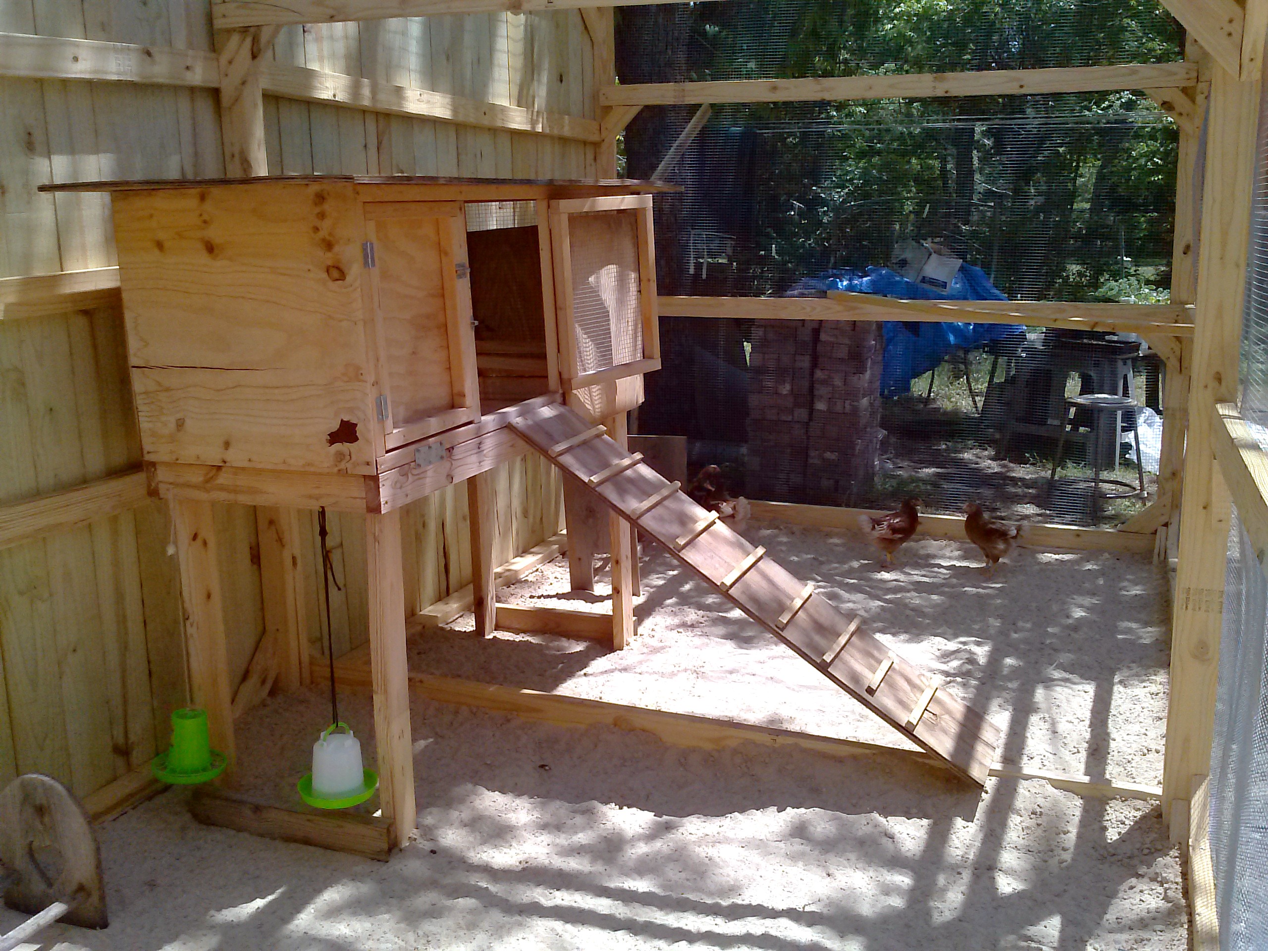 Old rabbit hutch as coop.